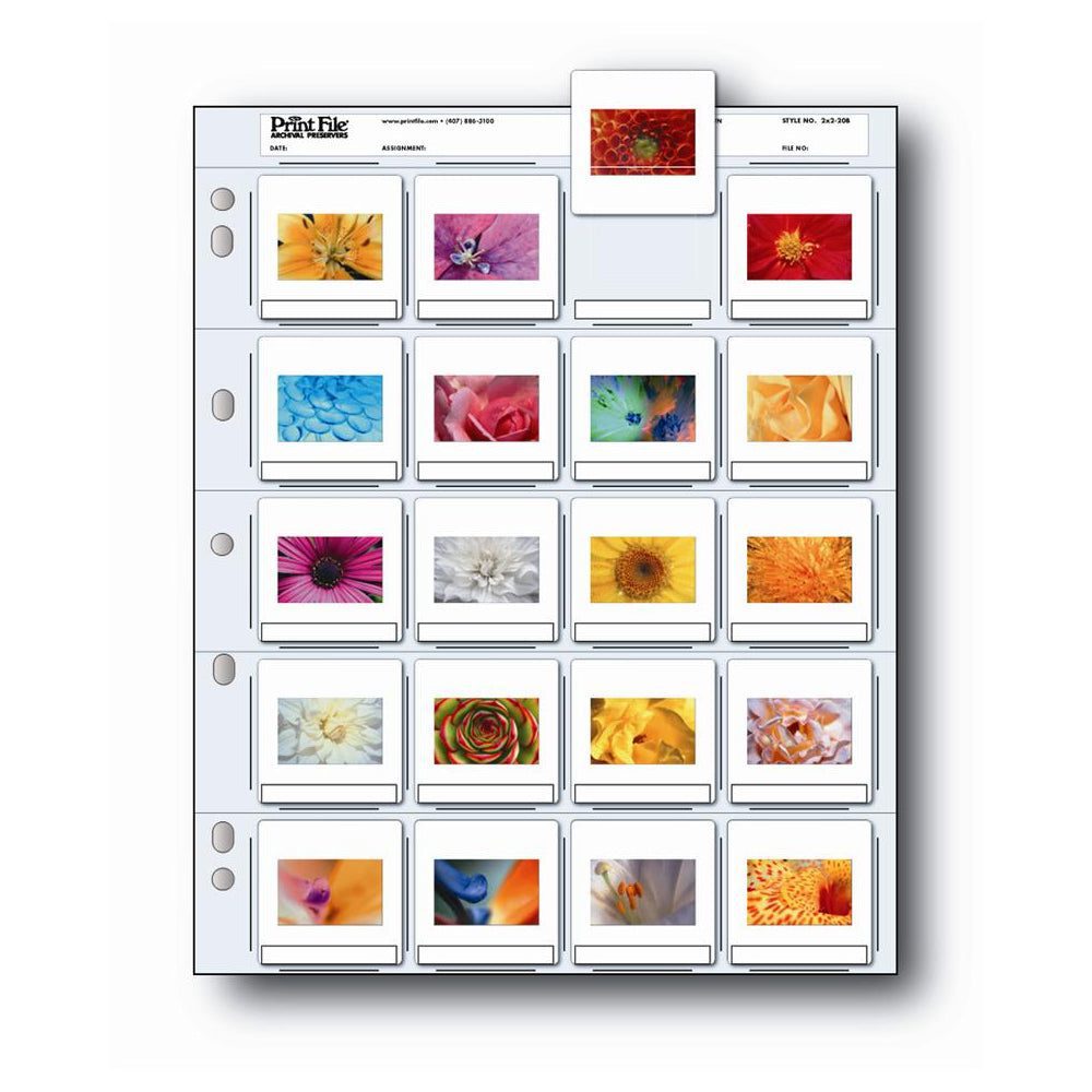 Products16948-1000x1000-555881