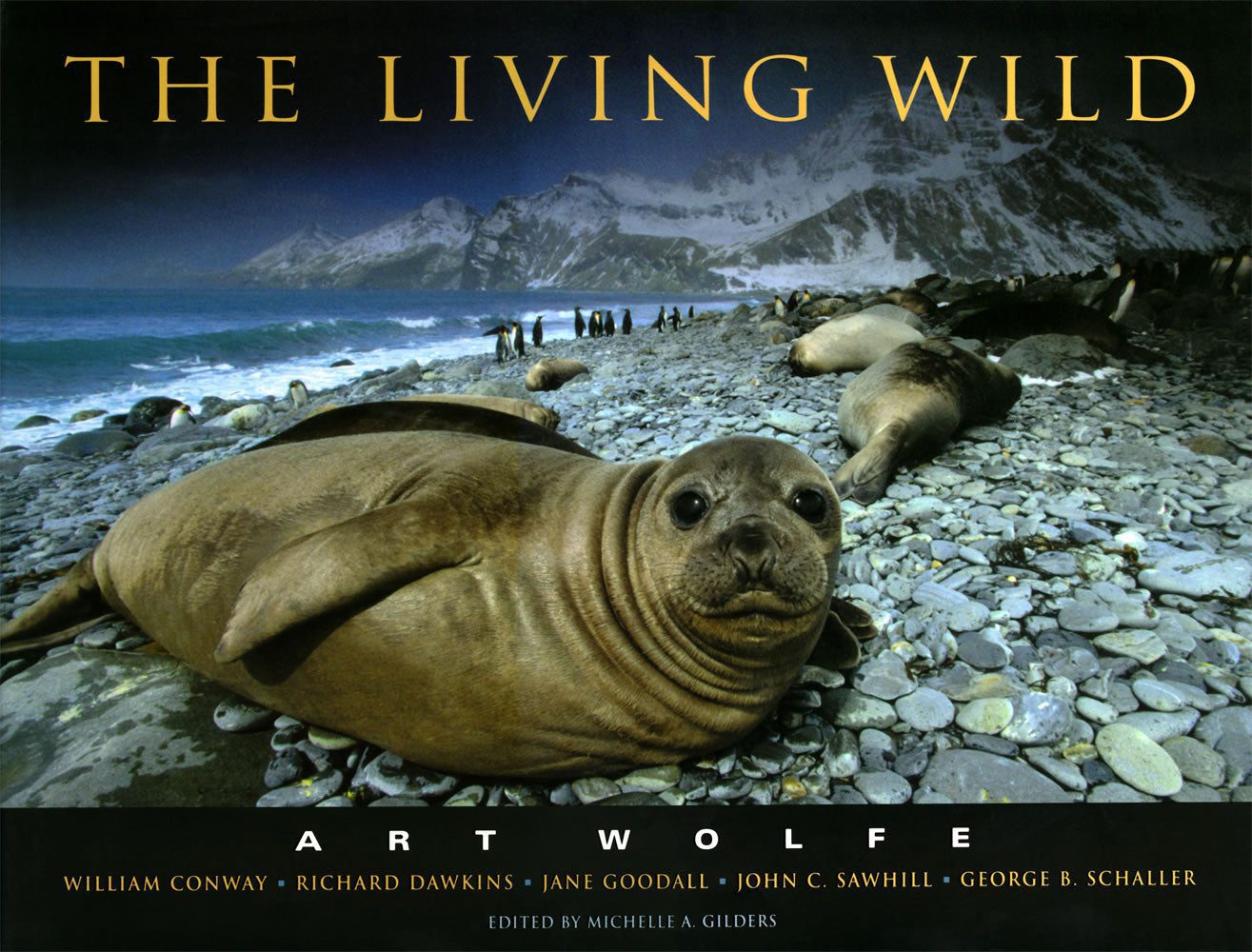 Products4785-1315x1000-28329